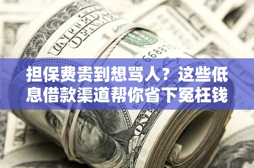 北京担保费贵到想骂人？这些低息借款渠道帮你省下冤枉钱
