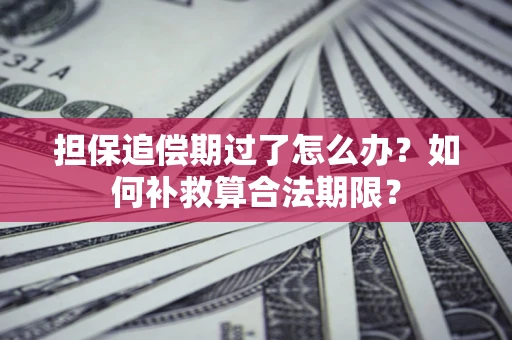 北京担保追偿期过了怎么办？如何补救算合法期限？