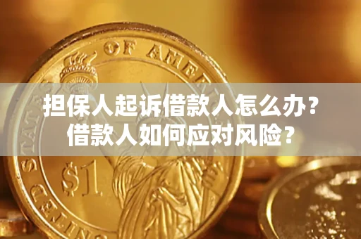 北京担保人起诉借款人怎么办？借款人如何应对风险？