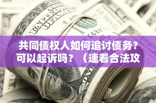 北京共同债权人如何追讨债务？可以起诉吗？（速看合法攻略）